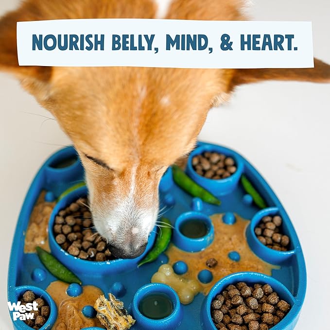 West Paw Seaflex Bubbles Feast Mat – All-in-One, Slow Feeder, Lick Mat – Encourages Foraging & Food Exploration - Engages Picky Eaters & Slow Feeding - Versatile – Easy to Clean, Non-Toxic - Bubblegum