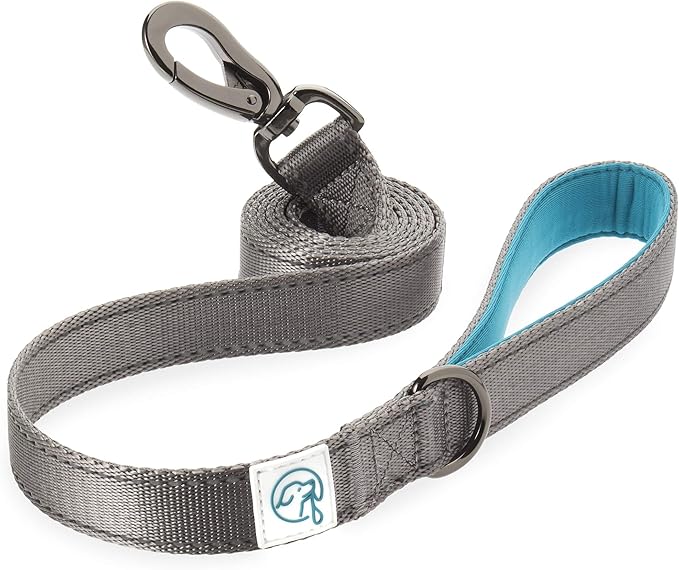 Embark Adventure Dog Leash – Strong & Durable, Colorful, 5 Ft, Suitable for Small, Medium & Large Dogs, Blue