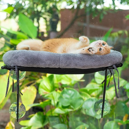 ROOVE Cat Window Perch – Luxury Cozy Hammock with Ultra-Soft Cover, Sturdy Metal Frame & 4 Strong Suction Cups, Durable Window Bed for Large Indoor Cats & Kittens to Lounge, Rest, and Observe (Grey)
