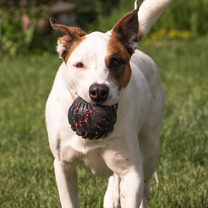 Mammoth Supreme Dog Toy Collection, Large 4" Supreme Fetch Ball