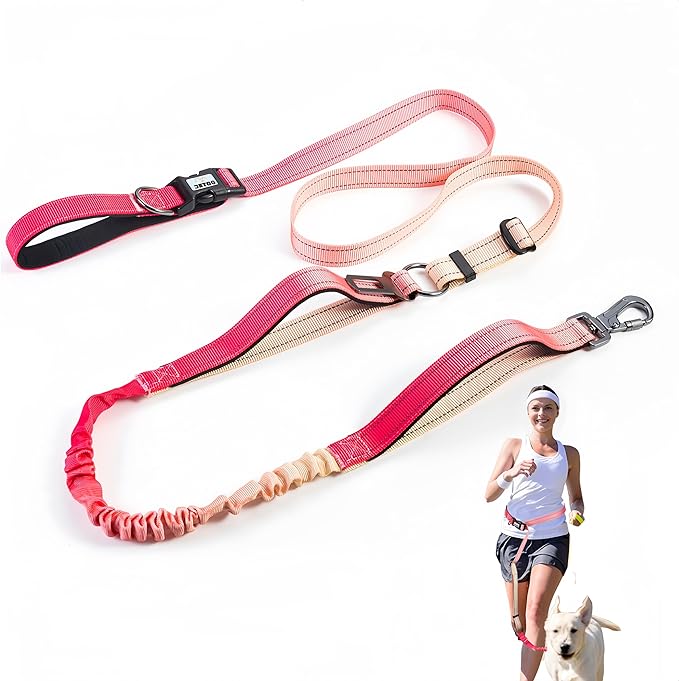 Heavy Duty Hands Free Dog Leash, 5-7 FT Reflective Adjustable Waist Dog Leash Belt with Padded Handles, Shock Absorbing Bungee and Car Seat Belt for Large Medium Dogs (Gradient Rose, XL)