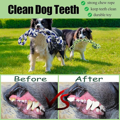 Outdoor Dog Toy Tether with Rope Tug of War, Interactive Exercise Dog Play Tether Pole in Ground Ball Rope Pull Bungee Toy for Small Medium Large Dogs