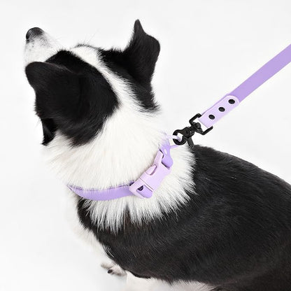 WLK1006H-5SET Luna Large 8FT Adjustable 6-in-1 Waterproof Hands-Free Leash and Collar with LED Flashlight, Bag Dispenser, and Poop Bag Holder, Bramble