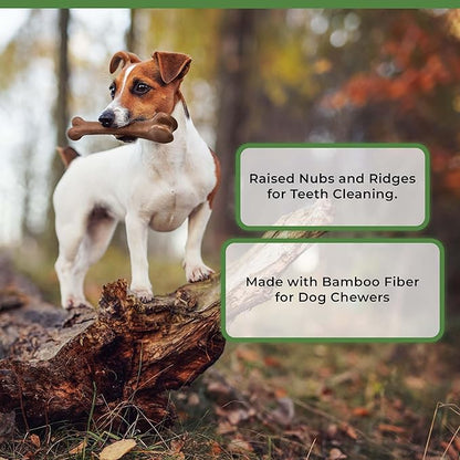 SPOT Bam-Bones Bone - Made with Strong Bamboo Fiber, Durable Long Lasting Dog Chew for Light to Moderate Chewers, Great Toy for Adult Dogs & Teething Puppies Under 25lbs, 5.75in, Bacon Flavor