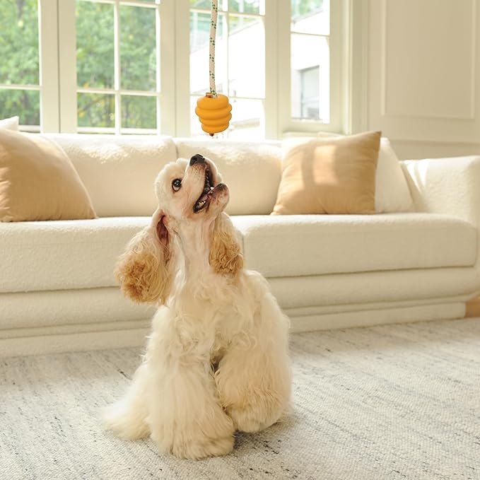 Green Sheep Natural Rubber Ball Rope Toy for Dogs, Interactive Dog Ball with Recycle Cotton Rope, Tug of War Dog Toy for Small to Large Dogs, Tough Rope Dog Toys for Outdoor Play, Yellow