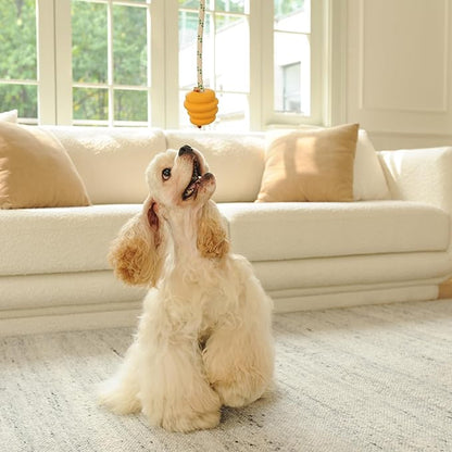 Green Sheep Natural Rubber Ball Rope Toy for Dogs, Interactive Dog Ball with Recycle Cotton Rope, Tug of War Dog Toy for Small to Large Dogs, Tough Rope Dog Toys for Outdoor Play, Yellow