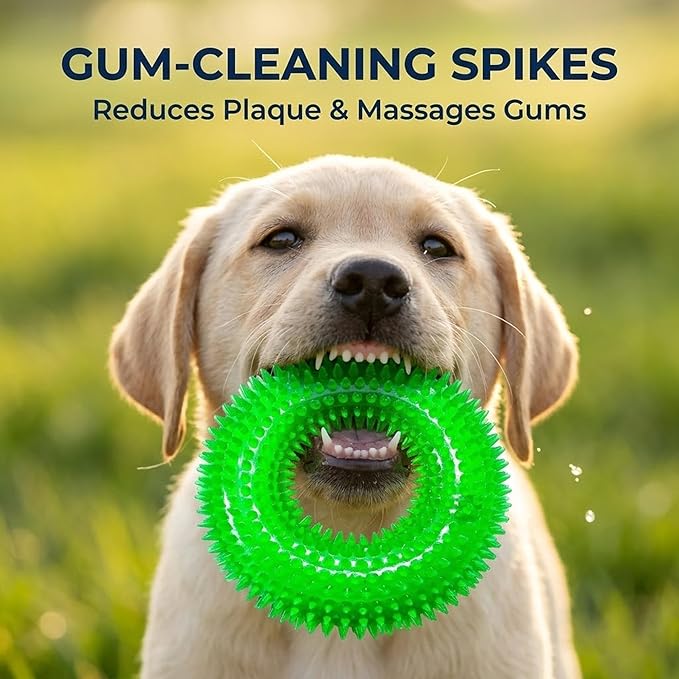 ADUCK Dog Squeaky Chew Toys for Aggressive Chewers, Small Medium Large Dogs Teeth Cleaning Soft Natural Rubber Float Toy for Indoor Outdoor Water Pool, Donut Ring Design 4.92 inch, Crystal Green