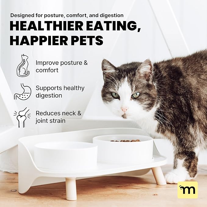 MalsiPree Elevated Dog Bowls - Puppy Adoption Gifts & Cute Puppy Accessories - 45° Tilt Feeding Station with Ceramic Dishes - Food and Bowls Set - Dog Birthday Gifts for Small Pets - Sand Beige
