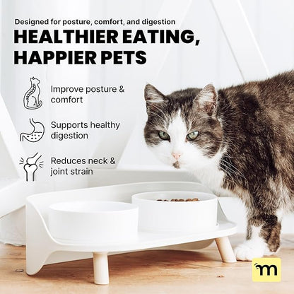 MalsiPree Elevated Dog Bowls - Puppy Adoption Gifts & Cute Puppy Accessories - 45° Tilt Feeding Station with Ceramic Dishes - Food and Bowls Set - Dog Birthday Gifts for Small Pets - Sand Beige