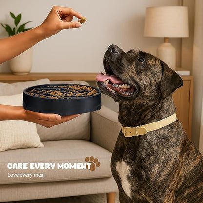 WHIPPY Slow Feeder Dog Bowl, Puzzle Maze Design to Slow Down Eating, 3-Cup Capacity, Anti-Gulping Food Bowl for Medium & Large Dogs,Black