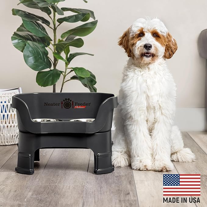 Neater Feeder Deluxe Mess-Proof Elevated Dog Bowls for Medium Dogs (19–40 lbs), 2 Height Adjustable (10” & 12.5”) No-Spill Raised Dog Bowl Stand, Stainless Steel Food Bowl Set, Made in USA, Black