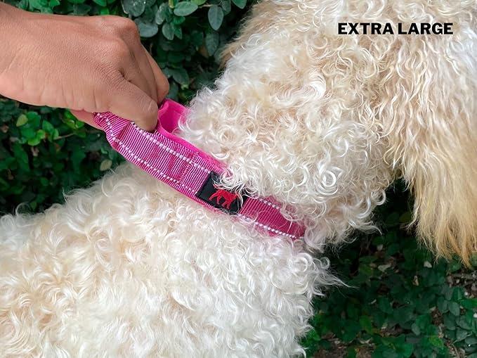 Tuff Pupper Heavy Duty Dog Collar with Handle | Ballistic Nylon Heavy Duty Collar | Padded Reflective Dog Collar with Adjustable Stainless Steel Hardware | Convenient Sizing for All Breeds