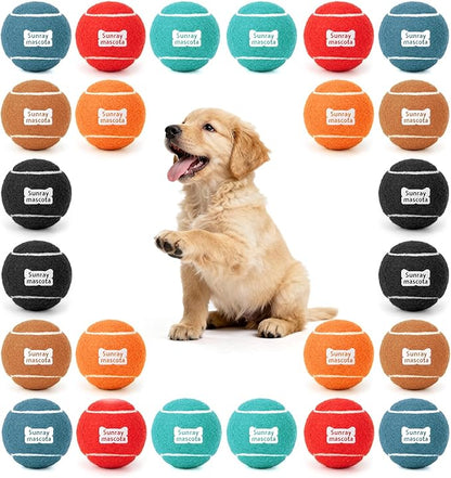 2.5" Dog Tennis Balls 24-Pack – Silent Bounce, Tough Rubber Core, Durable Fetch & Training Toys for Indoor/Outdoor Play, for Small Medium Large Dogs (Classic Mix Color, 24-Pack)