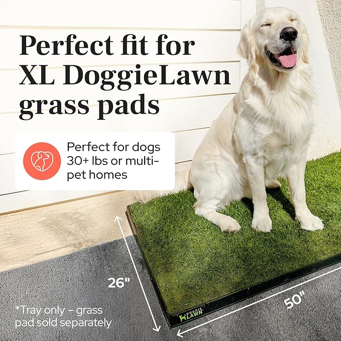 DoggieLawn XL Tray - Heavy Duty 4ft x 2ft Dog Potty Holder - Washable Reusable Floor Protection - Indoor/Outdoor Training Tray for Large Dogs