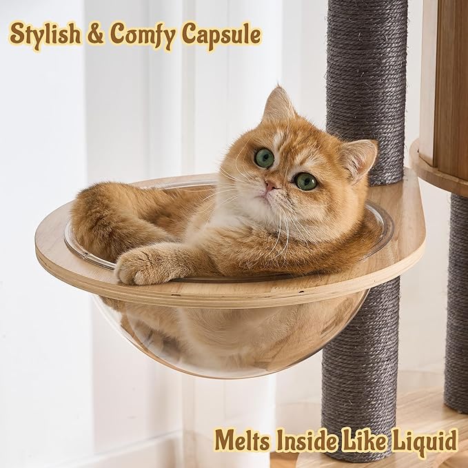 Modern Cat Tree Tower with Scratching Post, 61.5in Tall Cat Tree for Indoor Cats, Multi-Level Solid Wood Cat Furniture with Ladder, Cozy Cat Beds, Cat Condo, Capsule Nest, Dangling Toy, Gray