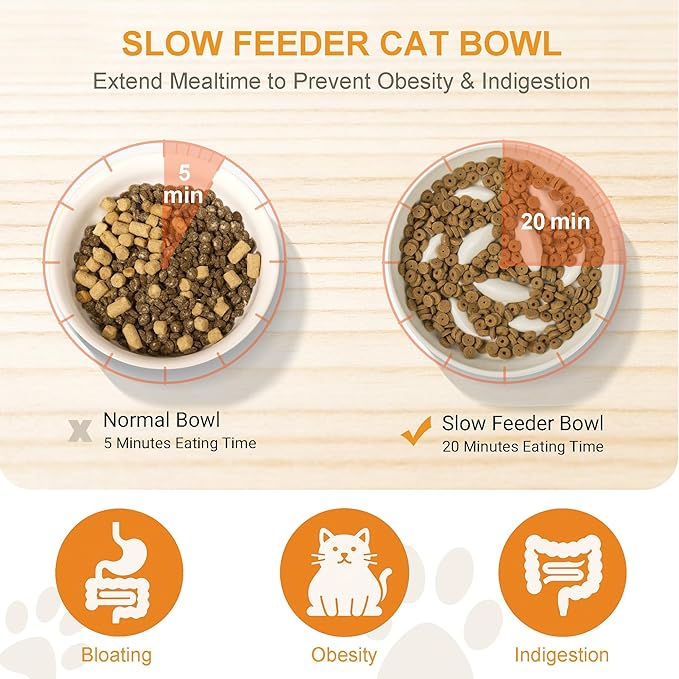 Non-Slip Rubberwood Elevated Cat Feeder Stand - 6.1"x3.5" Detachable Bowl Holder, Ergonomic Anti-Vomiting Raised Pet Dish Stand (White(Ceramic)-Bamboo Stand)