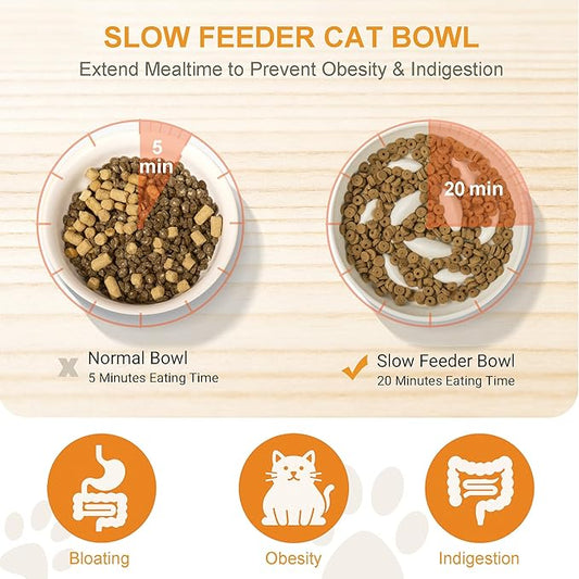 Anti-Bloat Ceramic Slow Feeder Bowl - Fish Pool Design Interactive Puzzle Feeder for Cats & Small Dogs, Food-Safe Porcelain Healthy Eating Dish (Green-Ceramic)