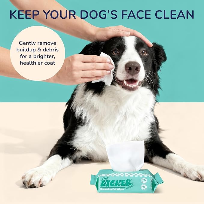 PWP1008A-6SET Mini Dog Body Wipes, Hypoallergenic Pet Grooming Wipes with Aloe Vera, Chamomile & Shea Butter, for Paws, Face & Body, Cleaning & Hydrating, 288 Count (6 Bags)