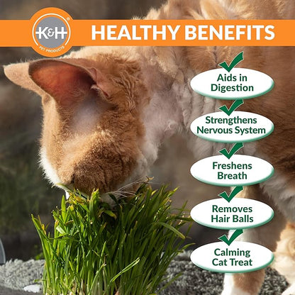 K&H Pet Products EZ Mount Cat Window Perch Penthouse Kitty Sill with Cat Grass Grow Station - 2 Level Hammock Window Bed for Indoor Pets, Home Grown Grass Toy for Bored Indoor Felines
