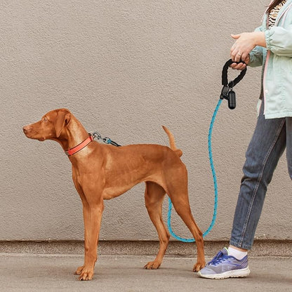 Heavy Duty Dog Leash for Large Medium Small Breed Dogs, Reflective Rope Dog leashes with Comfortable Handle,4/5/6 FT Pet Puppy Leash for Night Walking with Poop Bag Holder,Sky Blue,1/2 inch