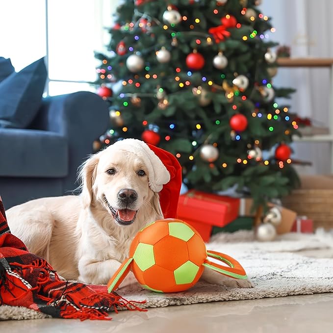 ALL FOR PAWS Dog Ball with Handles, Dog Toy with Squeaker, Interactive Tug of War Ball Toy for Medium and Large Dogs,15.7 x 7.9 x 7.9 Inch
