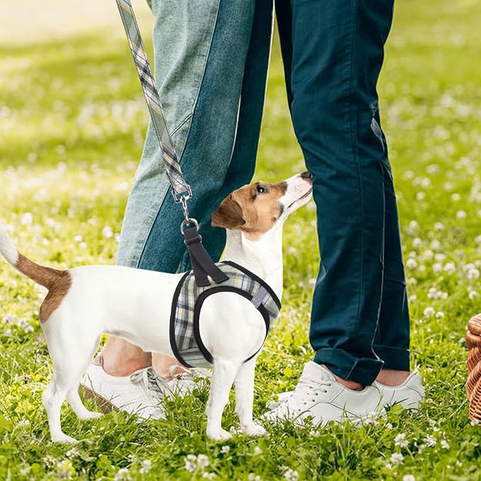 PUPTECK Adjustable Dog Harness Collar and Leash Set Step in No Pull Pet Harness for Small Medium Dogs Puppy and Cats Outdoor Walking Running, Soft Mesh Padded Reflective Vest Harnesses, Grn&YLW, XXS