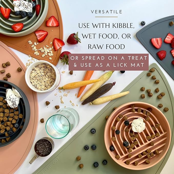 Should We Go? Slow Feeder for Dogs & Cats, The Slowdown Bowl Silicone Slow Eating Mealtime Solution with Modern Lick Mat Design, Reduces Gulping, Fits 1 Cup, 6” Across x 1.25” Tall, Small-Ocean