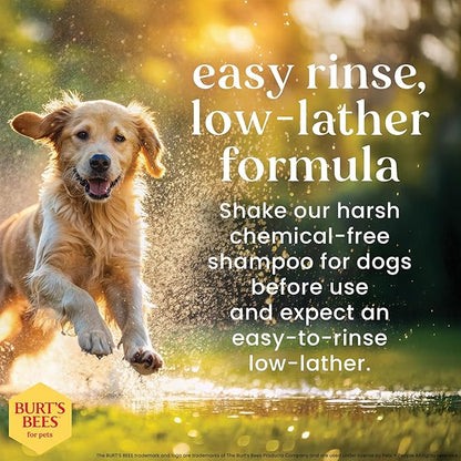 Burt's Bees Dog Shampoo & Conditioner - A Gentle Oatmeal Shampoo for Dogs with Itchy & Dry Skin, Deodorizing Pet Wash for Smelly Pets, Puppy Supplies - 32 oz