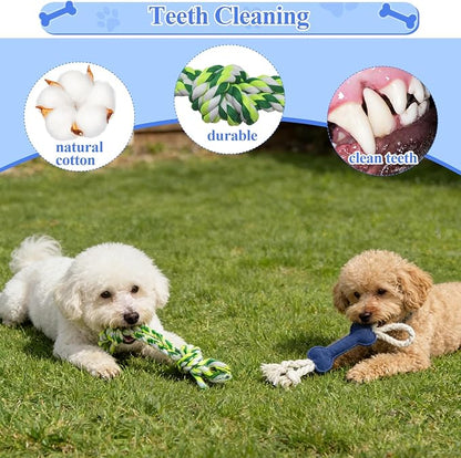 Puppy Hanging Tug Toy with 7 Replaceable Toys Interactive Rope Toy for Small Dogs & Puppies Teething Chew, Enrichment Play, Indoor & Outdoor Dog Pull Toy to Keep Them Busy