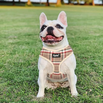 PUPTECK Soft Mesh Dog Harness and Leash Set Pet Puppy Cat Comfort Padded Vest No Pull Harnesses, Khaki, XS