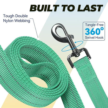 VIVAGLORY Dog Leash Twingrip Double Handle Dog Leash with Traffic Handle Control & 2 Loop for Walking & Training, Reflective Heavy Duty for Puppy Pet Collar, 6ft x 1in, Turquoise