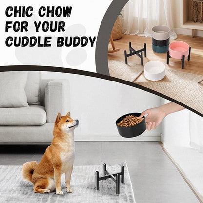 Raised Ceramic Dog Bowl - Elevated Food Water Dish with Stainless Steel Stand - for Small to Medium Dogs - 6 Inch - 2 Cups (28.75 fl oz) - Black