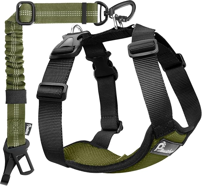 Pawaboo Dog Seat Belt Harness for Car, Dog Car Harness Seatbelt with Double Clips, Adjustable Breathable Pet Vest & Dogs Safety Tether with Elastic Bungee for Small Medium Large Pet, S, Green + Black