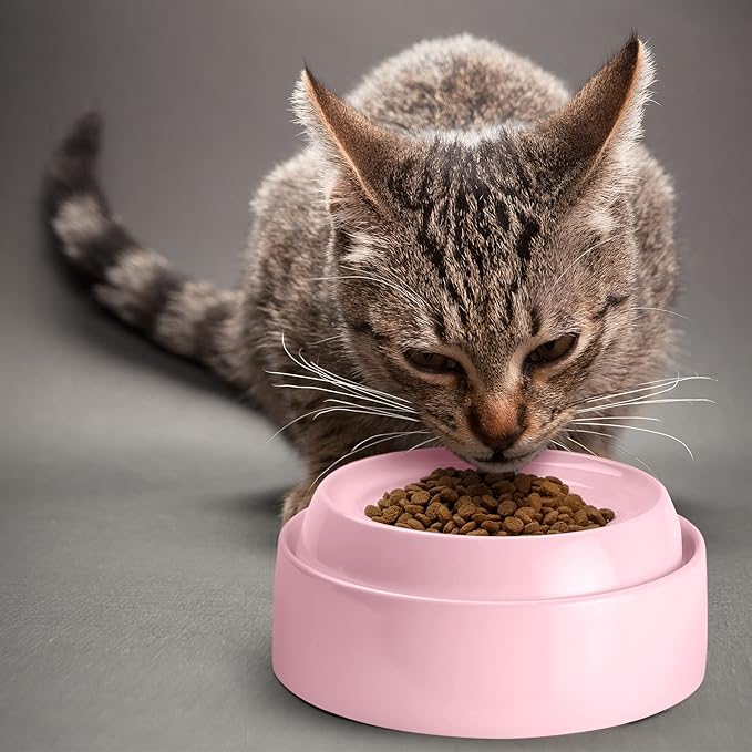 CatGuru Cat Bowls, Whisker Friendly Food Bowl for Indoor Cats, Reliefs Whisker Fatigue, Wide Kitten Dish, Non Slip Pet Dishes, Shallow Pet Plates (Pink, (Pack of 2))