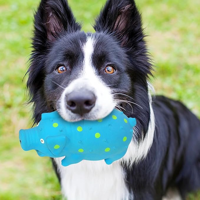 3-Pack Squeaky Pig Dog Toys, Rubber Pig Dog Toys for Small, Medium & Large Dogs, Durable Interactive Latex Squeaky Chew Toys