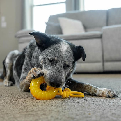 Outward Hound Gummiez Peach Ring 2-in-1 Dental Dog Chew Toy and Treat Stuffer Game, Peach Scent