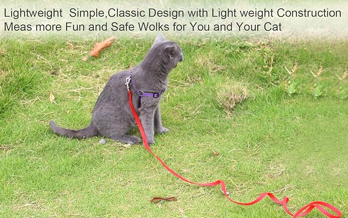 6 FT Puppy/Dog Leashes, Strong Traditional Style Leash with Easy to Use Collar Hook,Dog Lead Great for Small(Red,5/8" x 6 Feet) (Red)