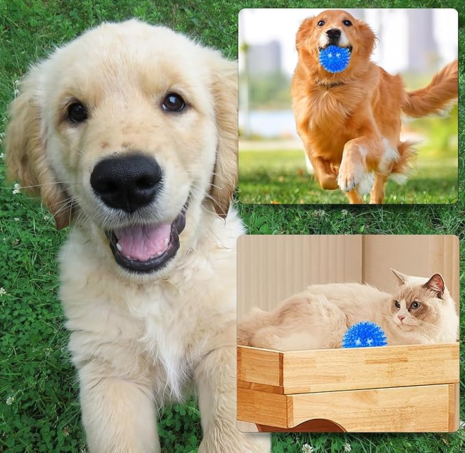 Small Dog Toy Balls, 12 Pcs Rubber Puppy Toy Balls for Ball Launcher, Dog Fetch Balls for Small Breeds 0-15 Lbs