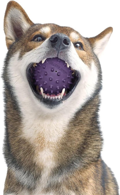 Playology Dog Toys | Spiky Chew Ball for Medium Dogs | Bacon Scented Toy for Tough Chewers - Easy to Clean and Made from Non Toxic Materials