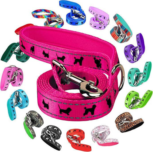 EcoBark Dog Leash - Soft & Reflective Comfort Training Leashes with Padded Handle - Safe, Strong, & Durable for Small, Medium or Large Dogs (Pink)