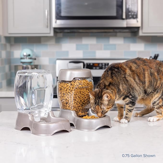 Petmate Pet Cafe Cat and Dog Gravity Water Dispenser - Water Bowl for Cats and Dogs, USA Made, 0.75 GAL, Pearl Gray