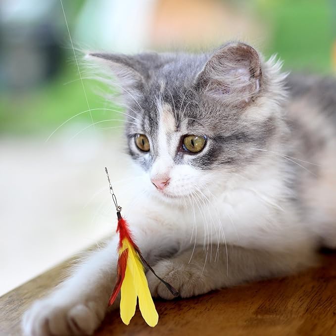 Pawaboo Interactive Cat Toys for Indoor Cats, Cat Wand Toys, Cat Fishing Pole Toy for Kitten Kitty, Cat Feather Teaser Wand Toys (Colorful, Stripes)