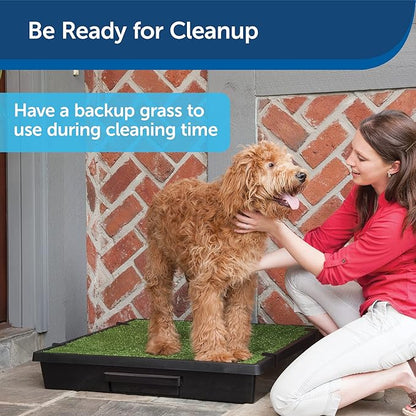 PetSafe Pet Loo Replacement Grass - Feels & Looks Like Real Grass - Drains Urine Quickly - Easy to Clean - Indoor Dog Potty Pad - Medium