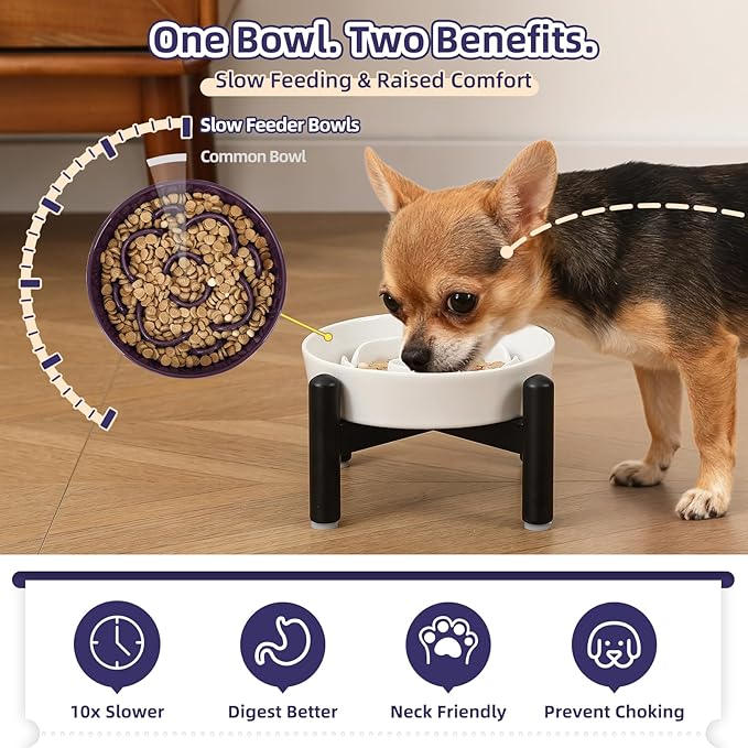 Elevated Slow Feeder Dog Bowl - Ceramic Maze Dog Food Bowl with Stainless Stand - Raised Slow Feeder for Small Breeds to Control Eating Speed - 6.3 Inch - 0.8 Cups (80g) - Grey