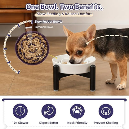 Elevated Slow Feeder Dog Bowl - Ceramic Maze Dog Food Bowl with Stainless Stand - Raised Slow Feeder for Small Breeds to Control Eating Speed - 6.3 Inch - 0.8 Cups (80g) - Grey