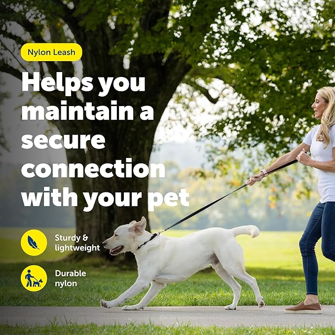 PetSafe Nylon Leash - Strong Nylon Dog Leash for Everyday Walks - Durable Pet Leash with Quick Attach Leash Clip - Comfortable Soft Grip - 6 Feet - Apple Green