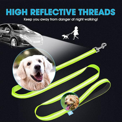 BAAPET 5 Feet Nylon Dog Leash with Triple Reflective Threads and Comfortable Padded Handle for Walking, Training Lead Small Puppy, Medium and Large Dogs (1.0'' x 5 FT, Green)
