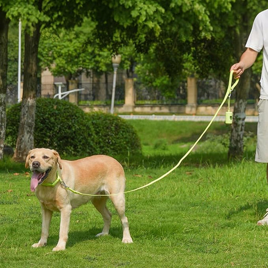 Waterproof Dog Leash with Poop Bag Holder, 5FT/6FT Adjustable Length with 2 Swivel Hooks, Odor-Free & Easy-Clean Dog Lead for Large Medium Small Dogs