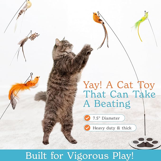 Bird Toy for Cats - 5 Pack Natural Feathers Stable Round Base - Interactive Wand Teaser - Self Play Hunting Enrichment - Bored Indoor Adult Feline Activity - Stimulating Kitten Juguetes para Gatos
