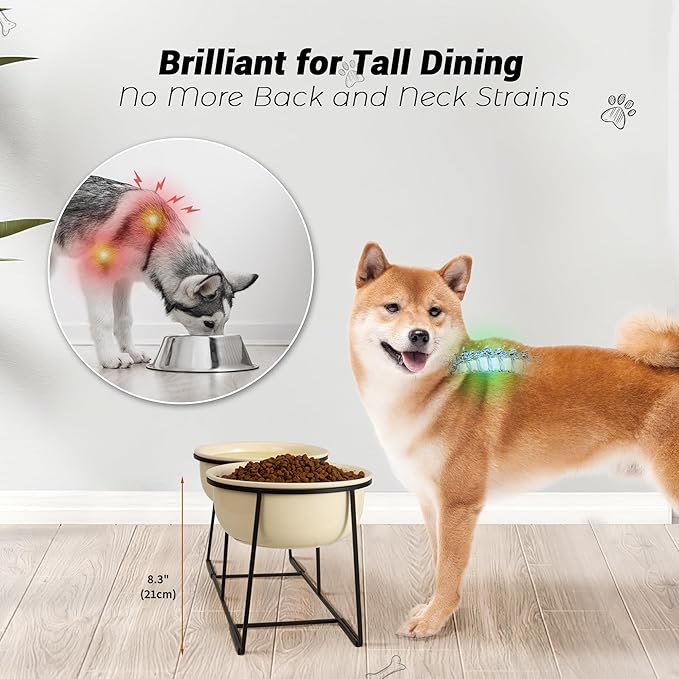 Ceramic Elevated Dog Bowl Set - Raised Double Feeding Bowls with Metal Stand - Pet Dishes for Medium and Large Dogs - 3.5 Cups - 54 fl oz - Beige